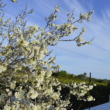 Hortas De Baixo Villa Luz de Tavira Dış mekan fotoğraf